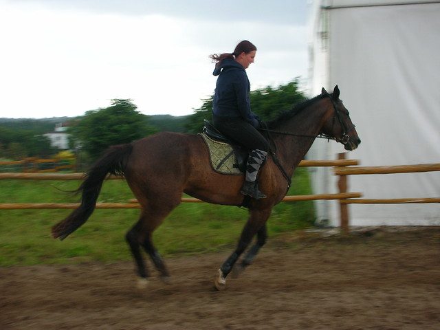 galopowo
