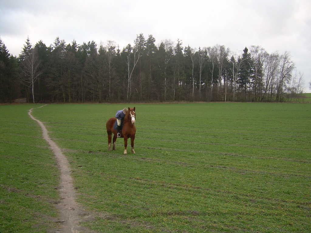 na Belli:* 