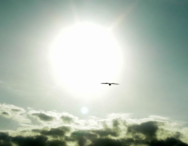 Your heaven is a lie!