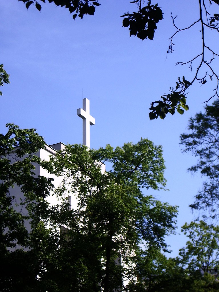 Ptaki