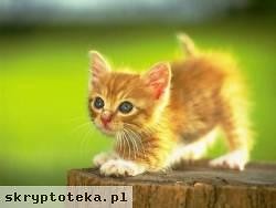 Kicius!!! ;**