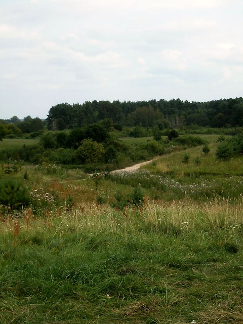 drogi.
