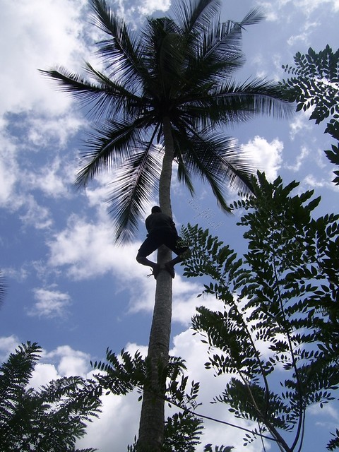Tanzania