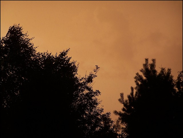 23.08