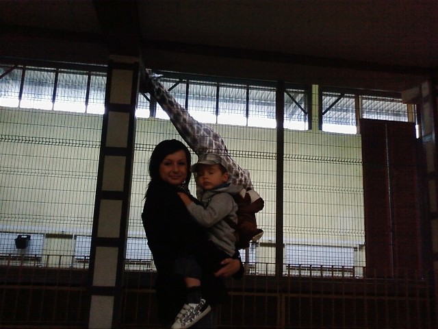 Chorzowskie zoo