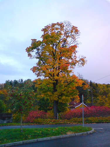 Wrzesie w Blakstad