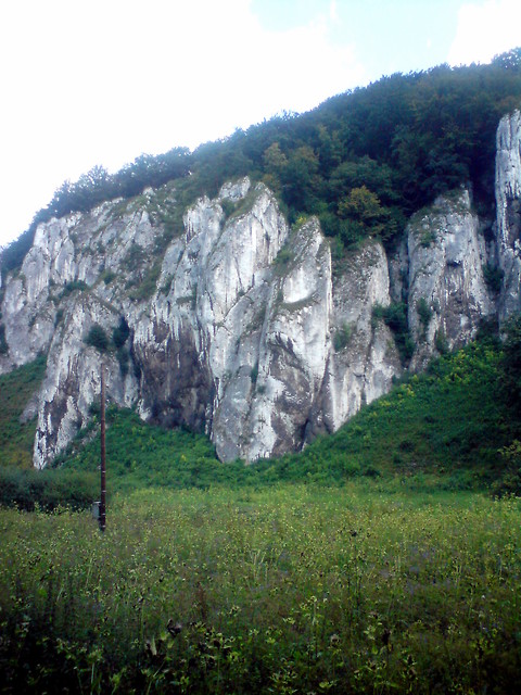 10.