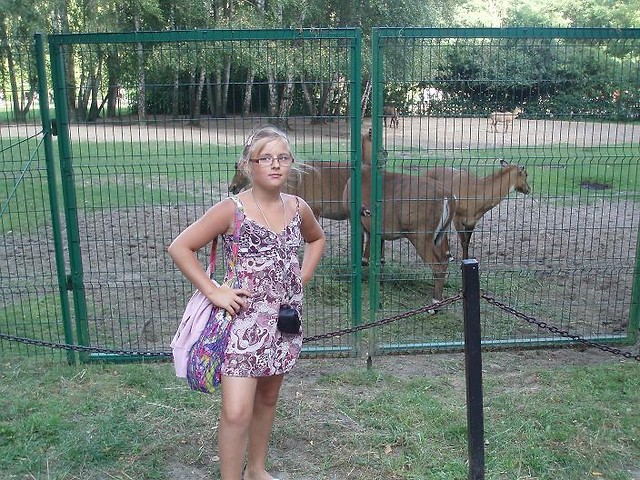 Ja w Zoo