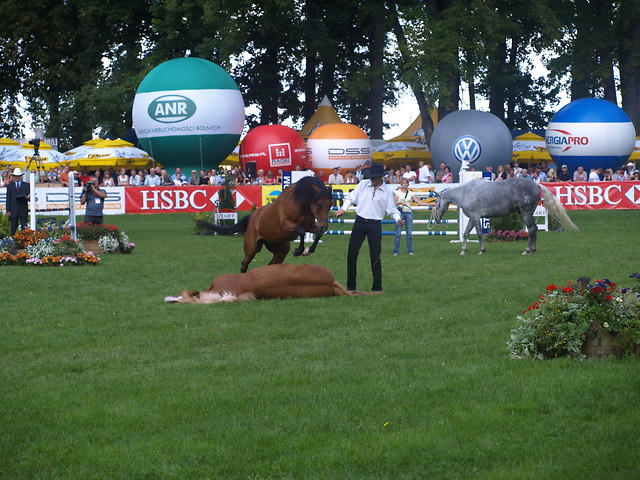 Strzegom 2009