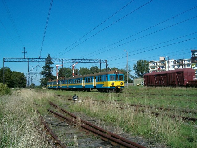 19.08.2009r.