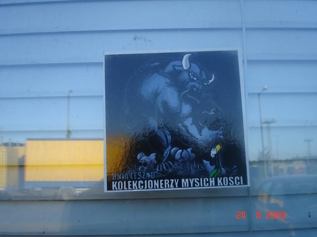 KOLEKCJONERZY MYSICH KOCI!!!!!