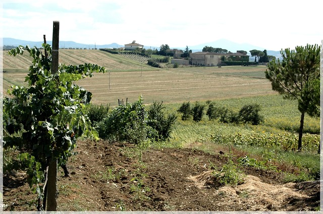 Castello di Brolio