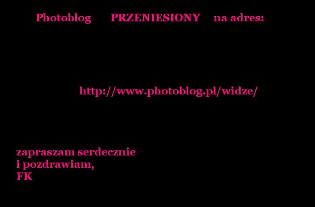 nowy photoblog