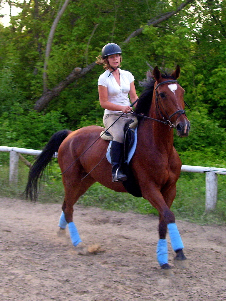 Galop :)