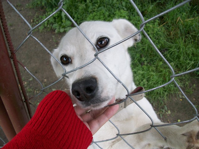 atka :D