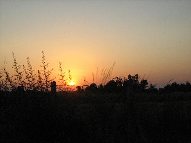 prawda