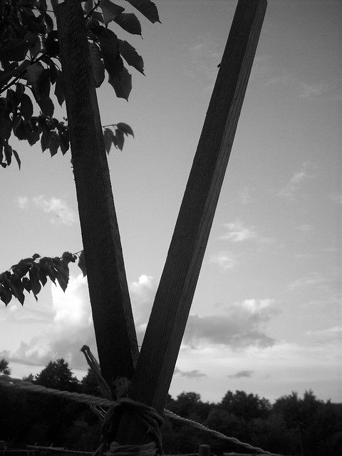 heavy cross