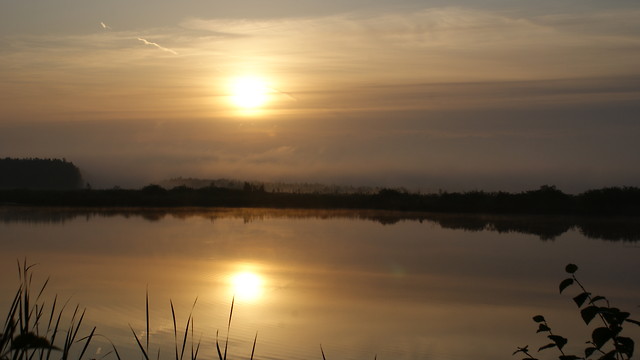 like a mirror