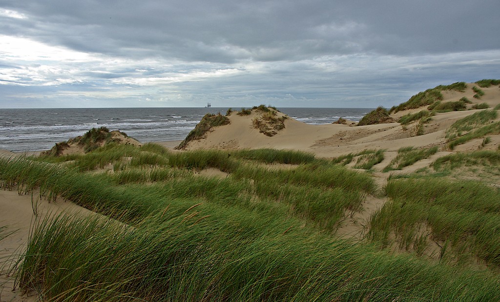Wydmy w Formby