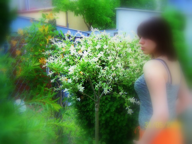 bla bla bla ; /