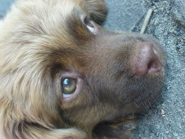 michuu
