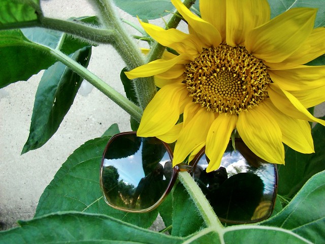 1 wrzenia ;P