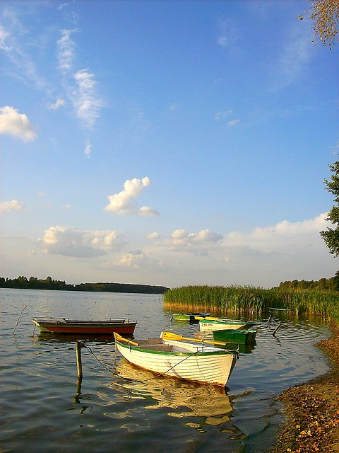 Orle