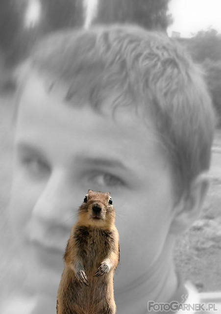 zwierze
