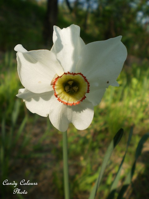 194*