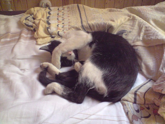 Bysiek :D