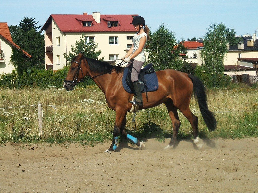 Fantom ! :*