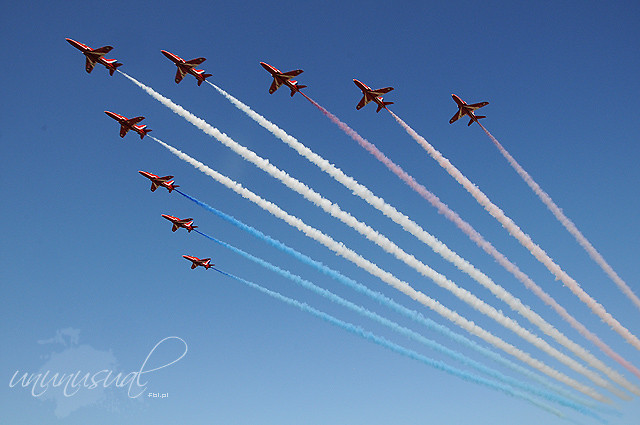 red arrows