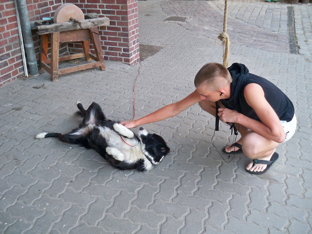:P