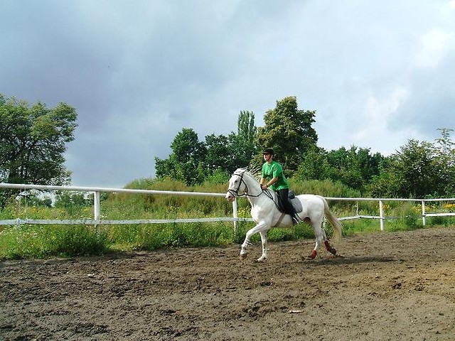 Wamik