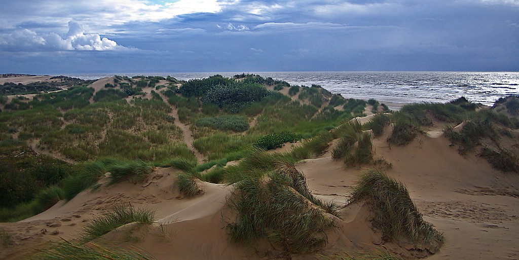 Wydmy w Formby 2