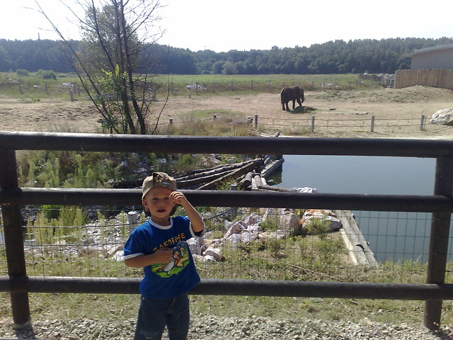 Poznaskie ZOO