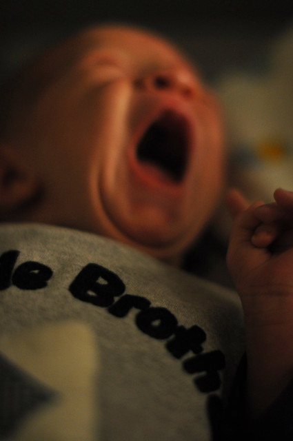 Little bro' II