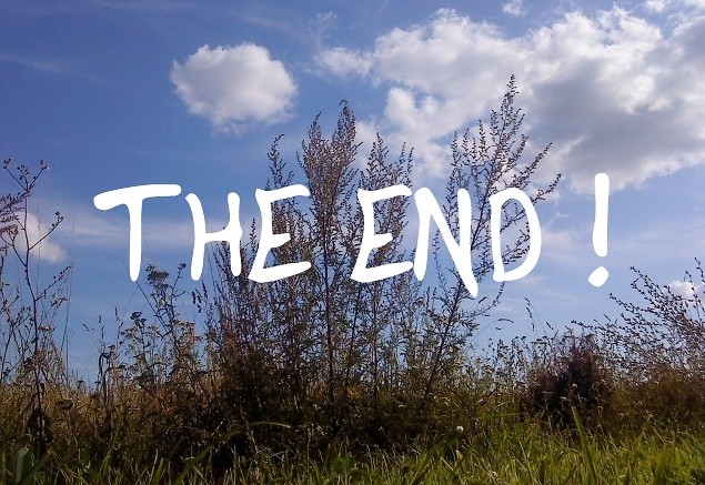 THE END !