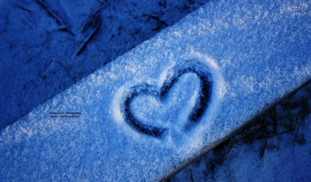 Heart