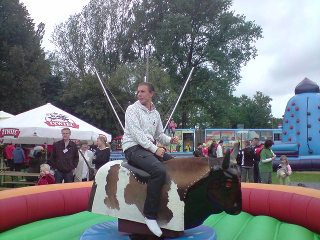 toro torro