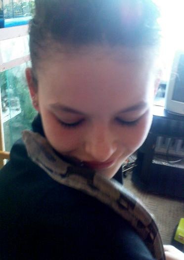 Snake.