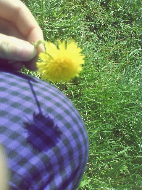 (...) powiedz czy to adnie tak.
