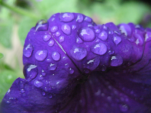 Tears of  September 