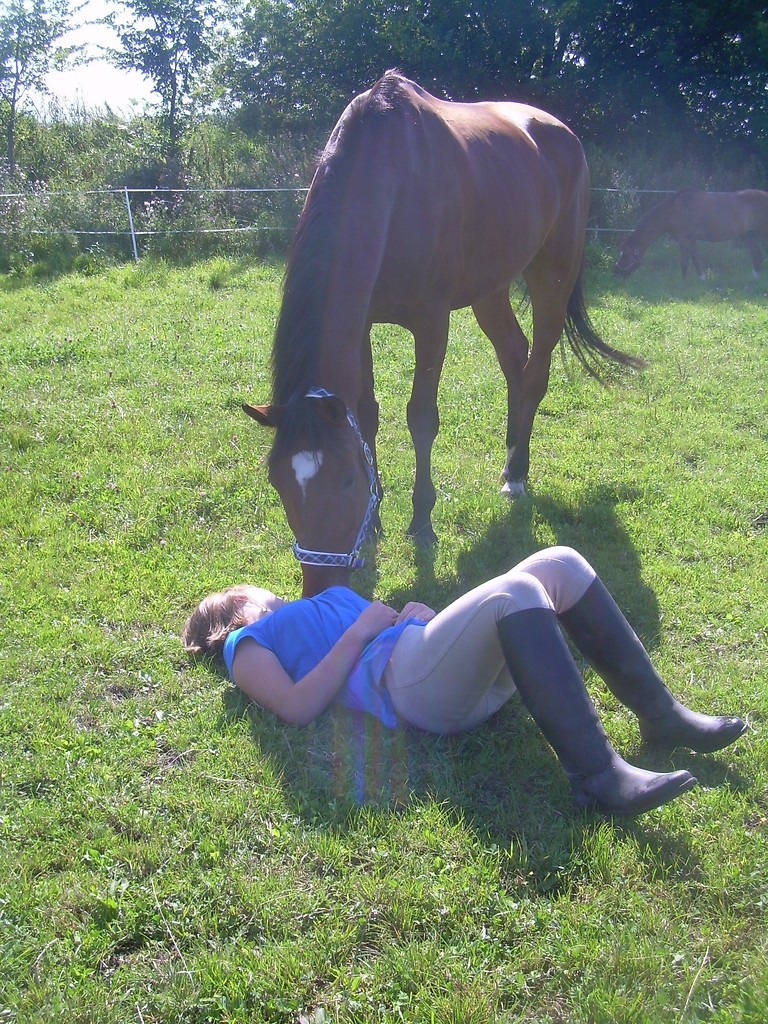 Pastuchu!