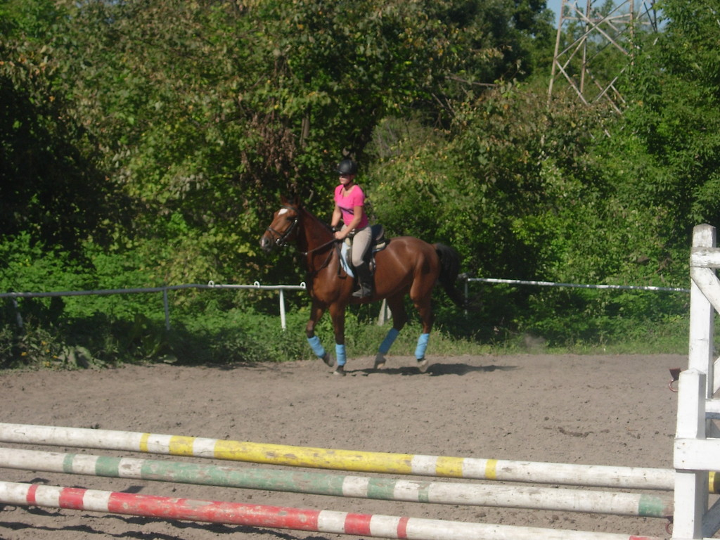 Galoping