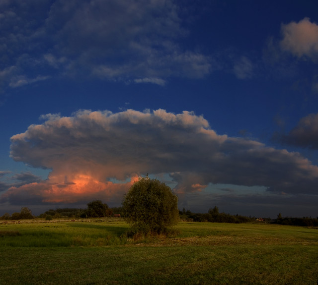 Panoramicznie 6