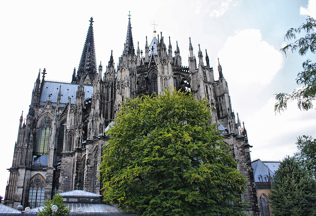 Dom