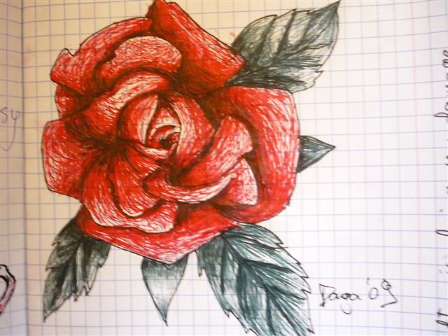 moje 