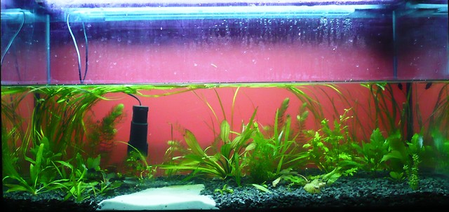 200 l