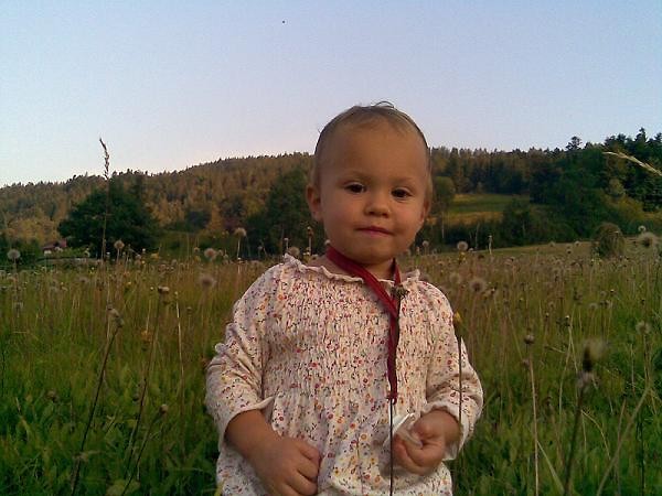 nad domem